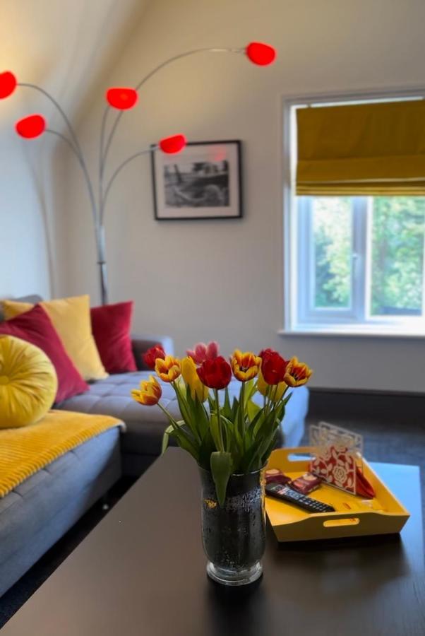 Green Corner Villa - No.5 Walls Hill Apartment Torquay Zewnętrze zdjęcie